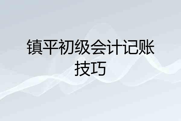 镇平初级会计记账技巧