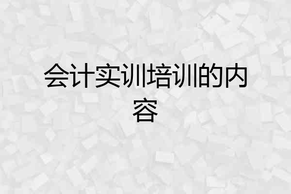 会计实训培训的内容