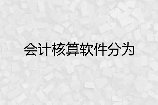 会计核算软件分为