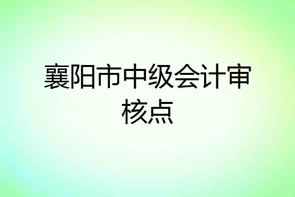 襄阳市中级会计审核点