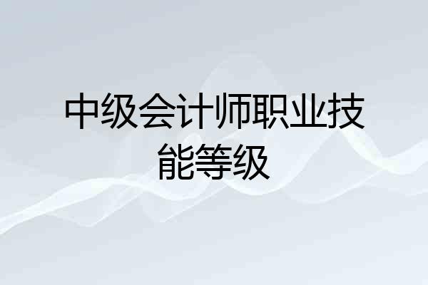 中级会计师职业技能等级