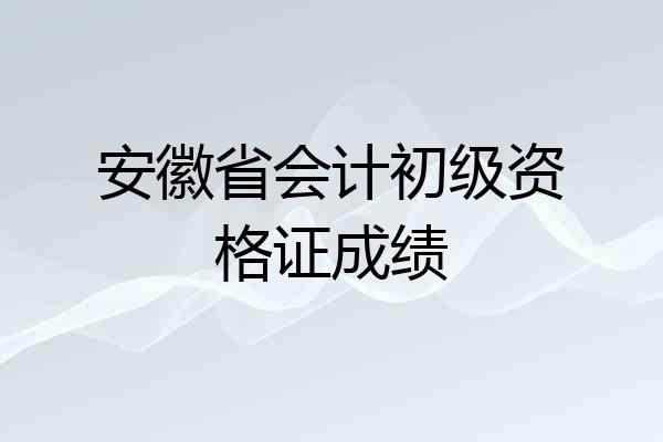 安徽省会计初级资格证成绩