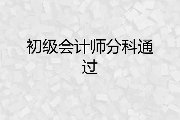 初级会计师分科通过