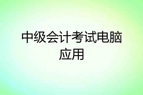 中级会计考试电脑应用