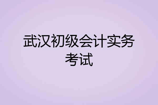 武汉初级会计实务考试