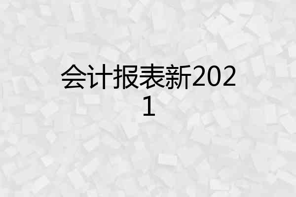 会计报表新2021