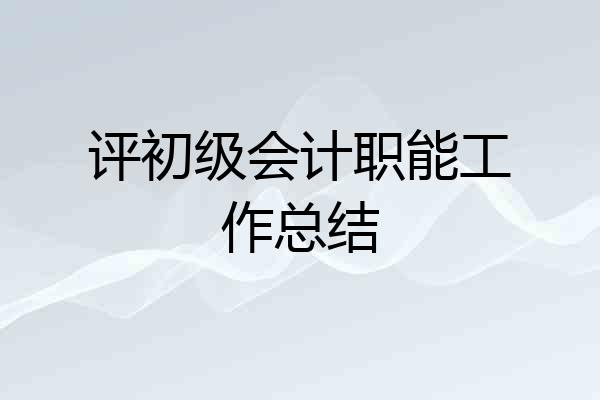 评初级会计职能工作总结