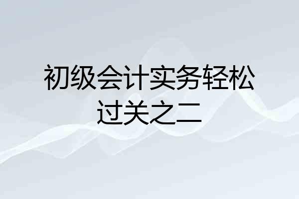 初级会计实务轻松过关之二