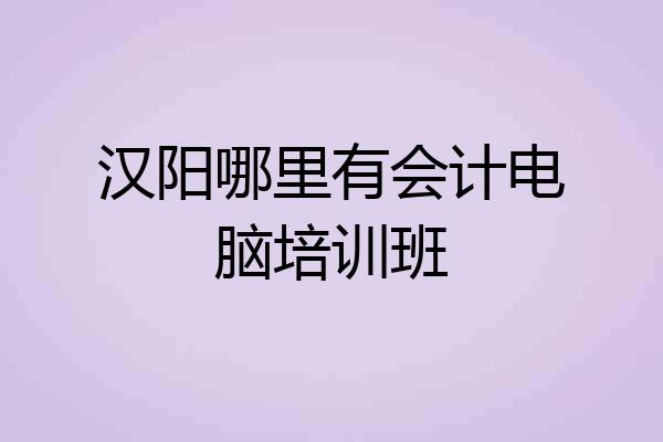 汉阳哪里有会计电脑培训班
