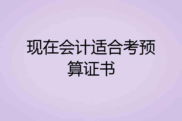 现在会计适合考预算证书