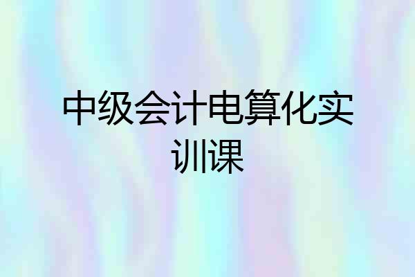 中级会计电算化实训课