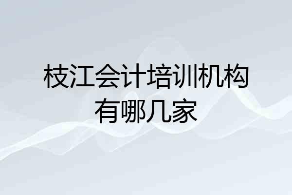 枝江会计培训机构有哪几家