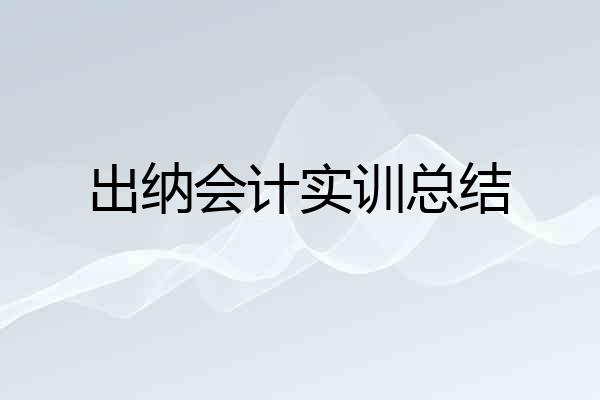 出纳会计实训总结