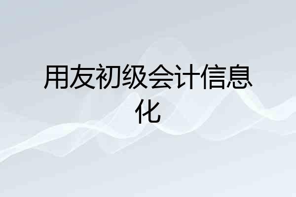 用友初级会计信息化