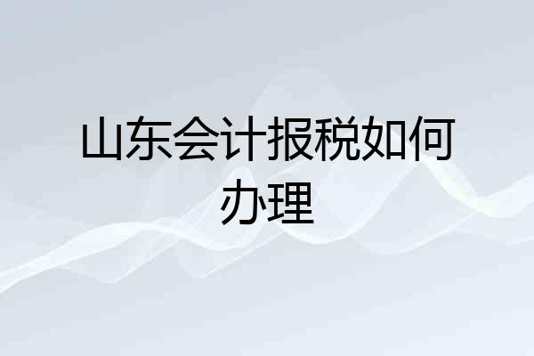 山东会计报税如何办理