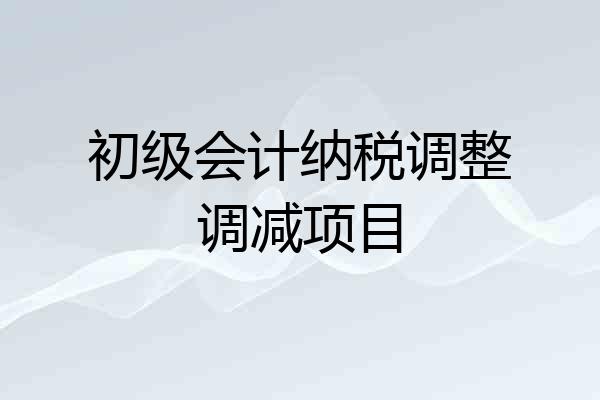 初级会计纳税调整调减项目