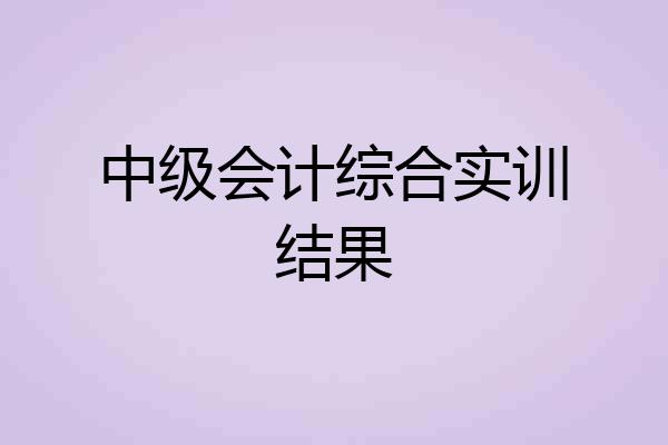 中级会计综合实训结果