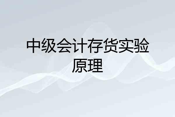 中级会计存货实验原理
