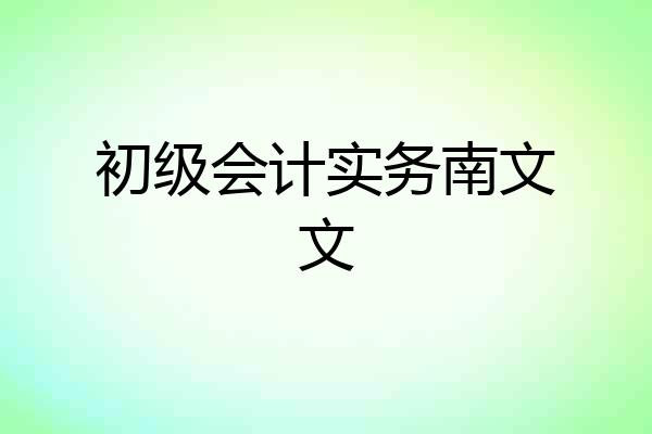 初级会计实务南文文