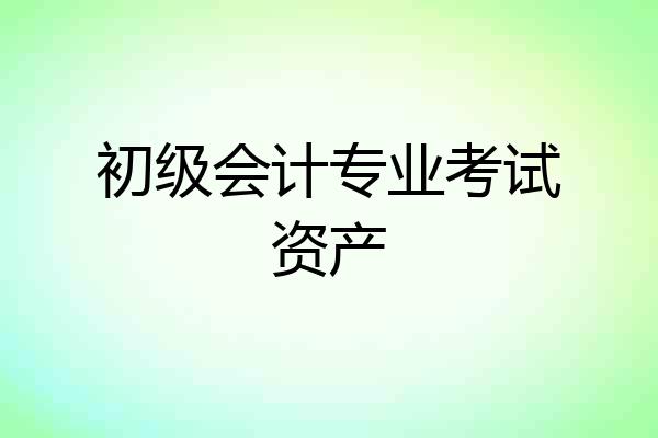 初级会计专业考试资产