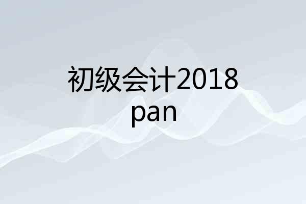 初级会计2018pan