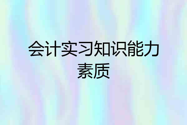 会计实习知识能力素质