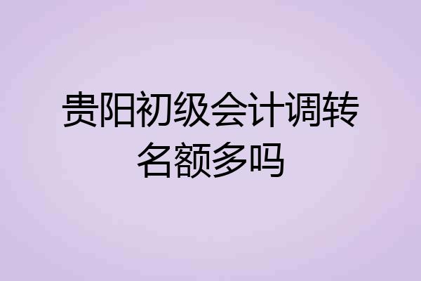 贵阳初级会计调转名额多吗