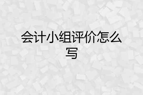 会计小组评价怎么写