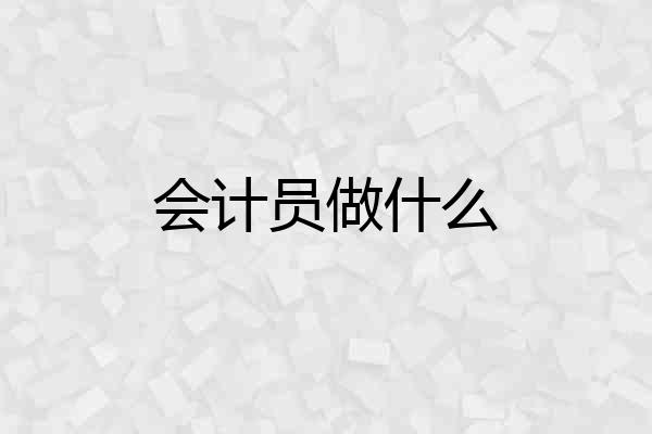 会计员做什么