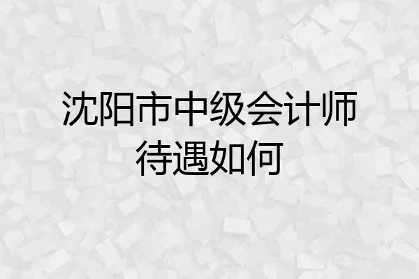 沈阳市中级会计师待遇如何