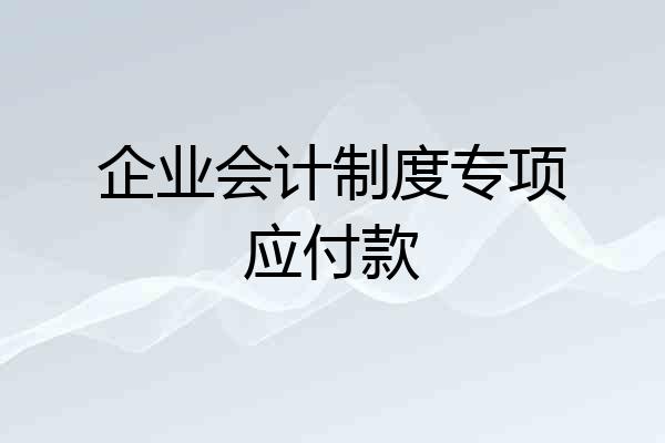 企业会计制度专项应付款