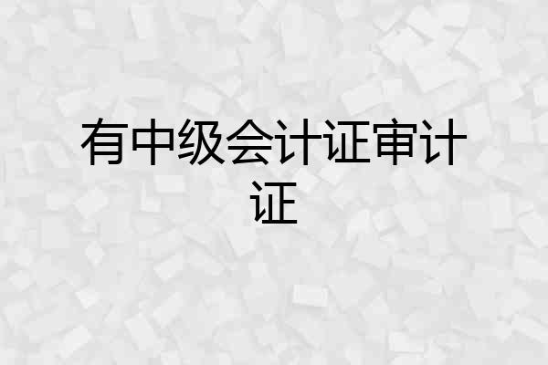 有中级会计证审计证