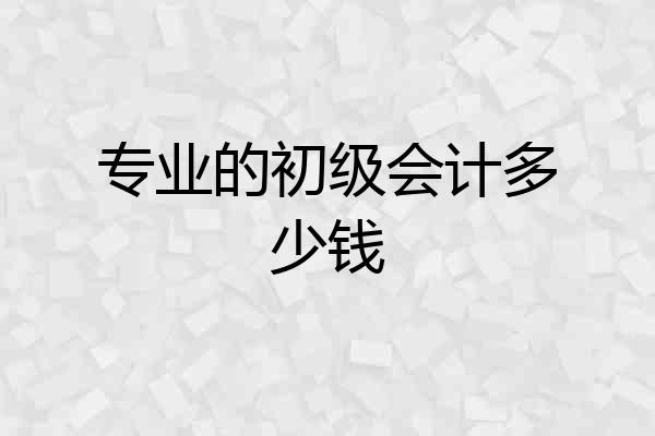 专业的初级会计多少钱