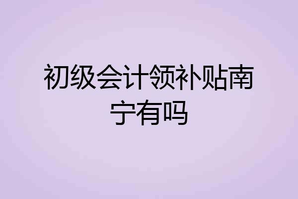 初级会计领补贴南宁有吗