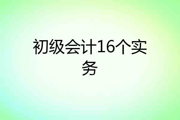 初级会计16个实务