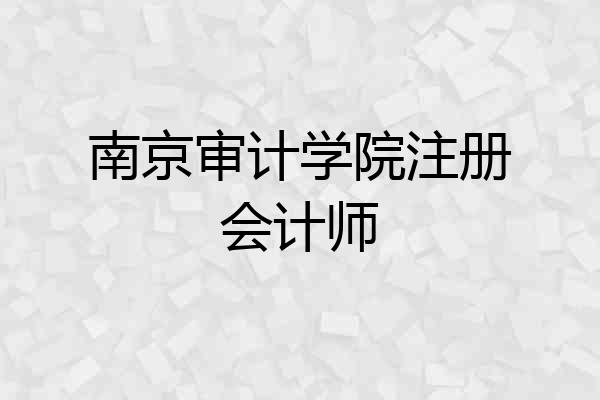 南京审计学院注册会计师