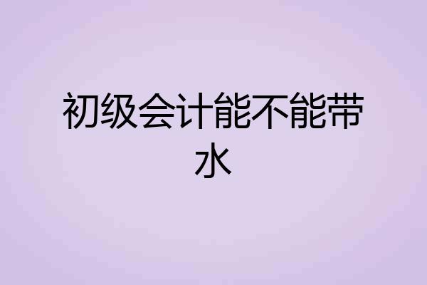 初级会计能不能带水