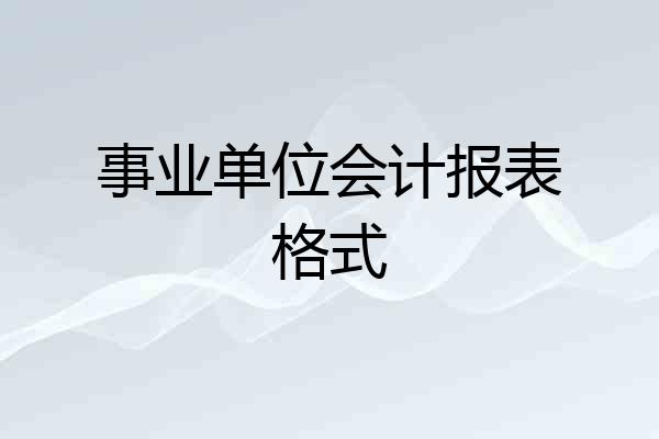 事业单位会计报表格式
