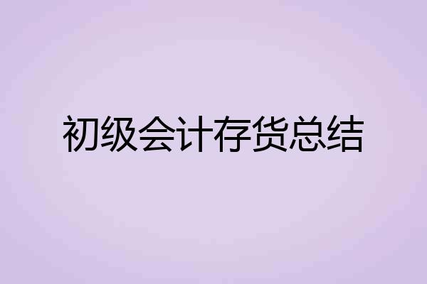 初级会计存货总结