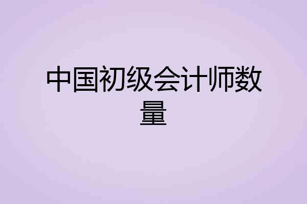 中国初级会计师数量