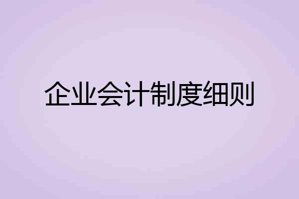 企业会计制度细则
