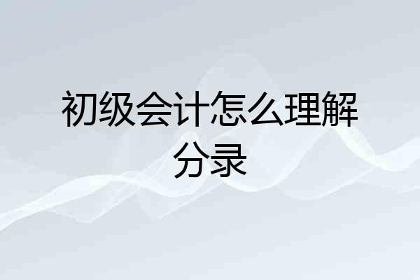 初级会计怎么理解分录