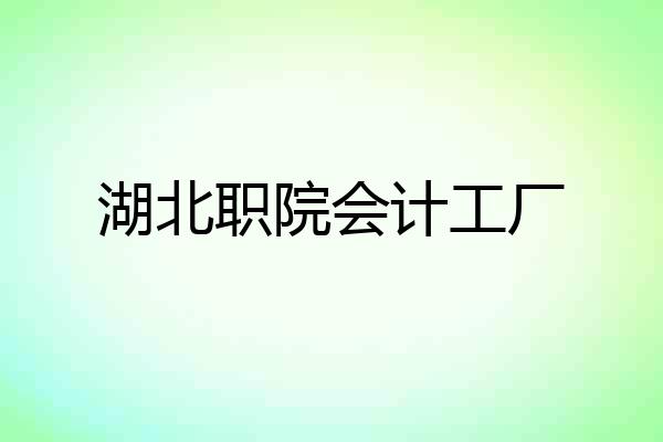 湖北职院会计工厂