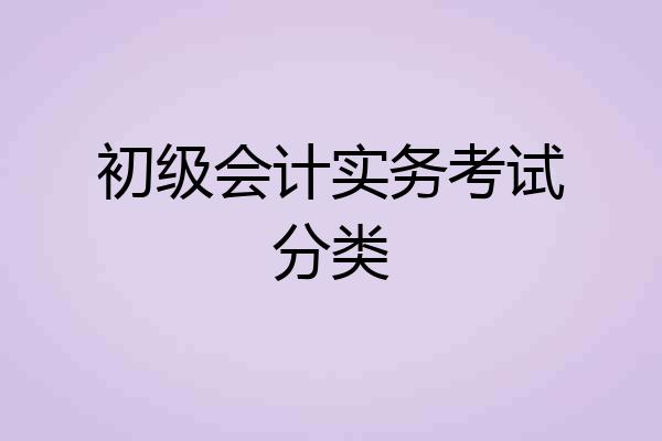 初级会计实务考试分类