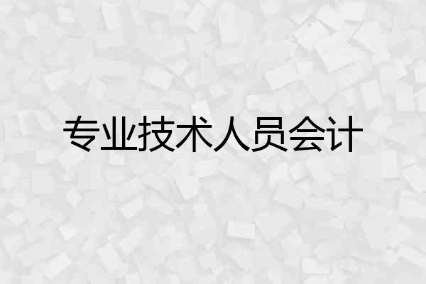 专业技术人员会计