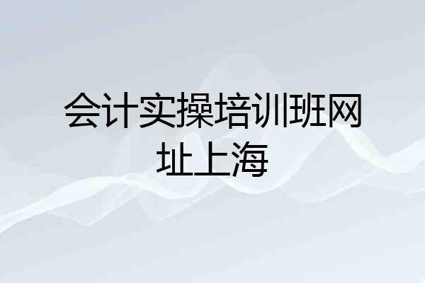 会计实操培训班网址上海
