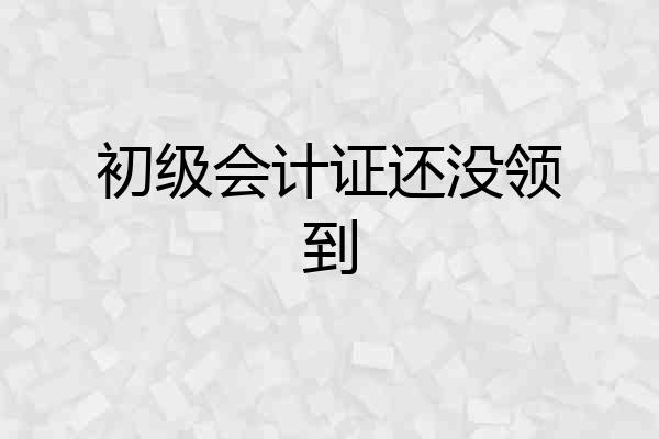 初级会计证还没领到
