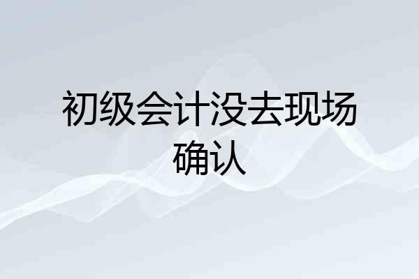 初级会计没去现场确认