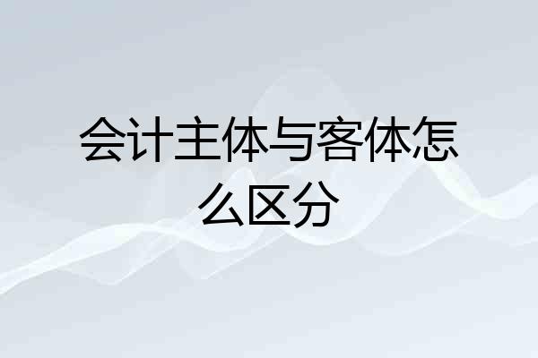 会计主体与客体怎么区分