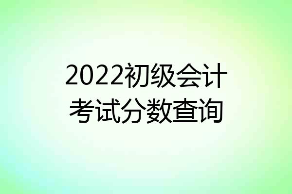 2022初级会计考试分数查询